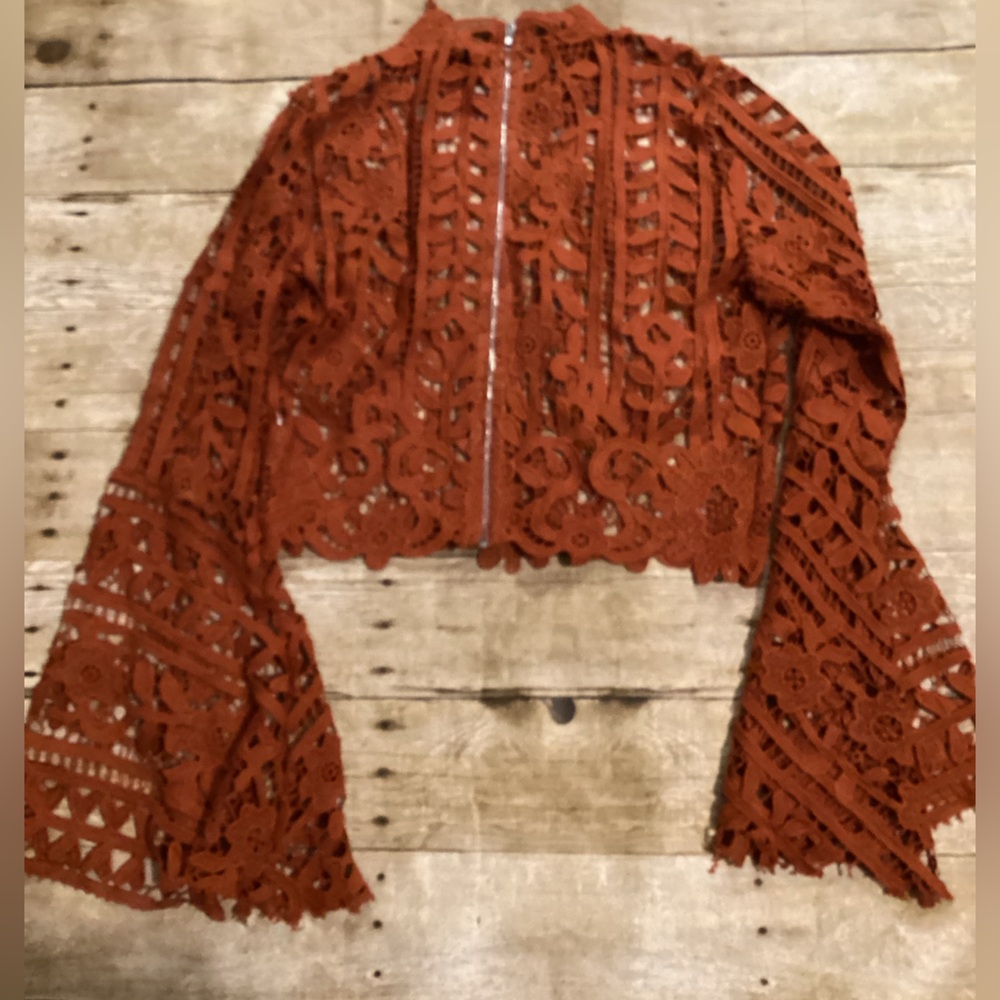 Windsor Rust Lace Crop Top Size M | Long Sleeve High Neck Boho Floral - Picture 4 of 4